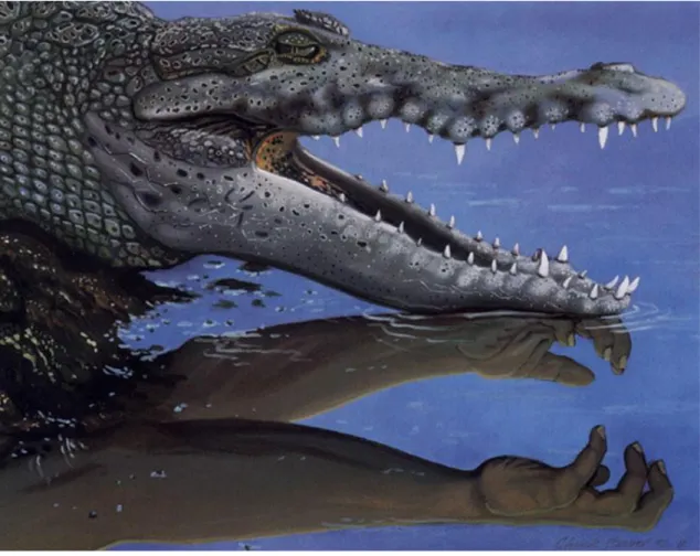 Figura 01 – Crocodile Dundee (Chuck Baird, 1992)  
