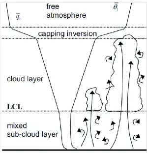 Figure 5 – The typical vertical structure of a shallow convective PBL. from Soares et al