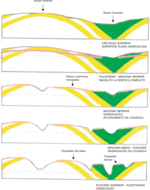 Figura 8: Modelo de evolução da paisagem proposta por Embrapa (2004). 