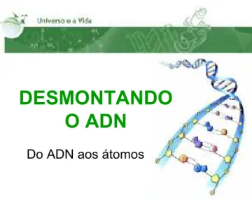 Figura 7 – Apresentação &#34;Desmontando o ADN&#34; (Diapositivo 1). 