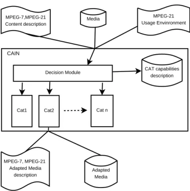 Figure 2.8: CAIN Adaptation Process