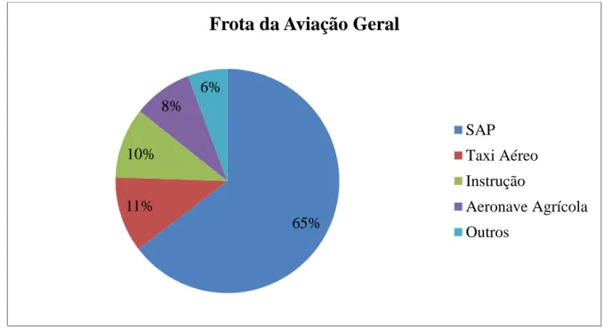 Figura 2.4 – Composição da frota da Aviação Geral (modificada – Abag, 2015). 