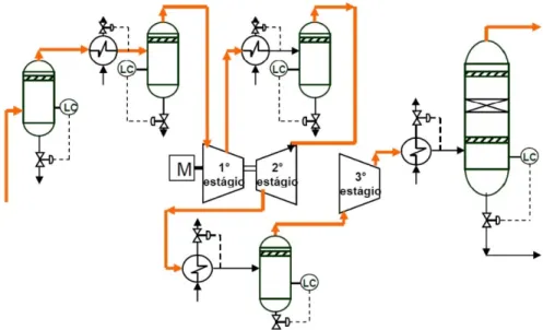 Figura 9  apresenta-se  um  diagrama  esquemático  com  as  etapas  do  condicionamento  do  gás  natural