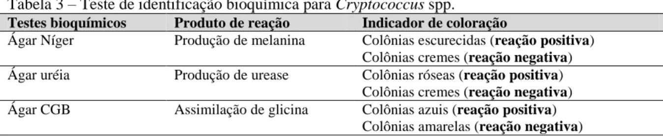 Tabela 3 – Teste de identificação bioquímica para Cryptococcus spp. 