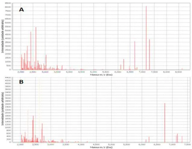 Figura 10 - Espectros de Cryptococcus na plataforma VITEK MS ®   Espectros de C.neoformans (A) e C