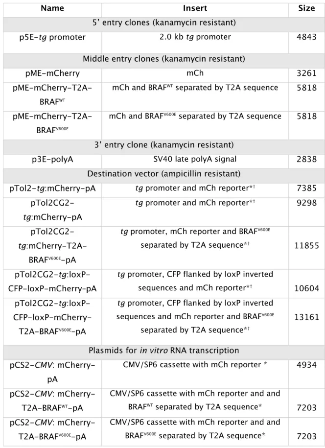 Table 1.  List of plasmids generated for transgenesis or in vitro RNA transcription.  