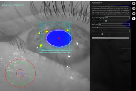 Figure 4.2: Interface of the Pupil Capture software. On the left size, a preview of the feed from the cameras is displayed