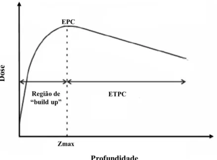 Figura 3 – Gráfico da dose absorvida em função da profundidade, indicando as regiões  de build up, EPC e ETPC