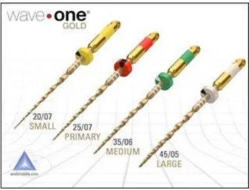 Figure  3  –  WaveOne ®   Gold  system  composed  by  four  different  single  files  (Dentsply Maillefer) 