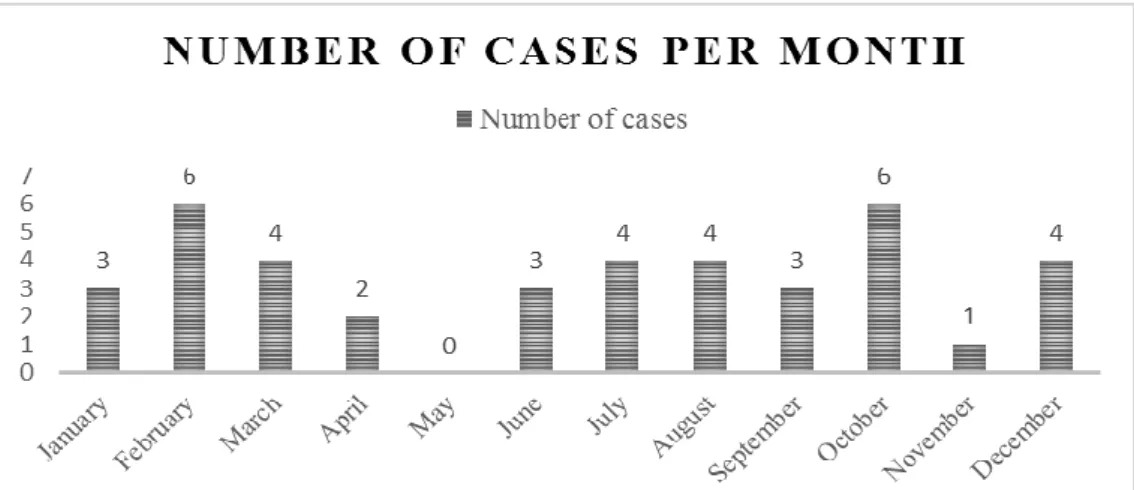 Graphic 1 – Number of cases between 29 th  April 2015 and 29 th  April 2019 (n=40) divided  per month (original)