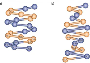 Figura  4.  Esquema dos modelos de fibra de 30nm. a)  Modelo caracterizado  pelas  interações entre os  nucleossomos consecutivos (n1-2, 2-3, 3-4, 4-5, 5-6); b) Modelo zig-zag, demonstrando que as interações  acontecem  entre  nucleossomos  alternados  (n1