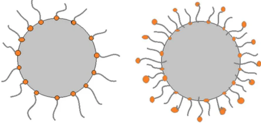 Figura 3. Nanopartículas surfactadas. O mecanismo para evitar a aglomeração é a repulsão física  entre os agentes tensoativos na superfície das nanopartículas