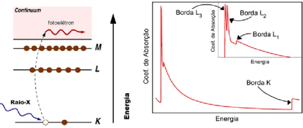 Figura 10. Absorção de um fóton de raios X com a emissão de um fotoelétron e comportamento do  coeficiente de Absorção, modificada de [46]