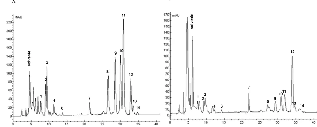 Figura 2.1- Cromatogramas obtidos por HPLC:  A)  P.  edulis comercial a saponificado.  B) P