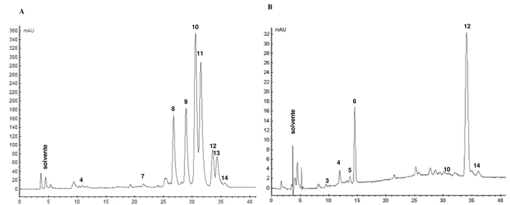 Figura 2.3- Cromatogramas obtidos por HPLC: A) P. edulis roxo nativo saponificado. B) P