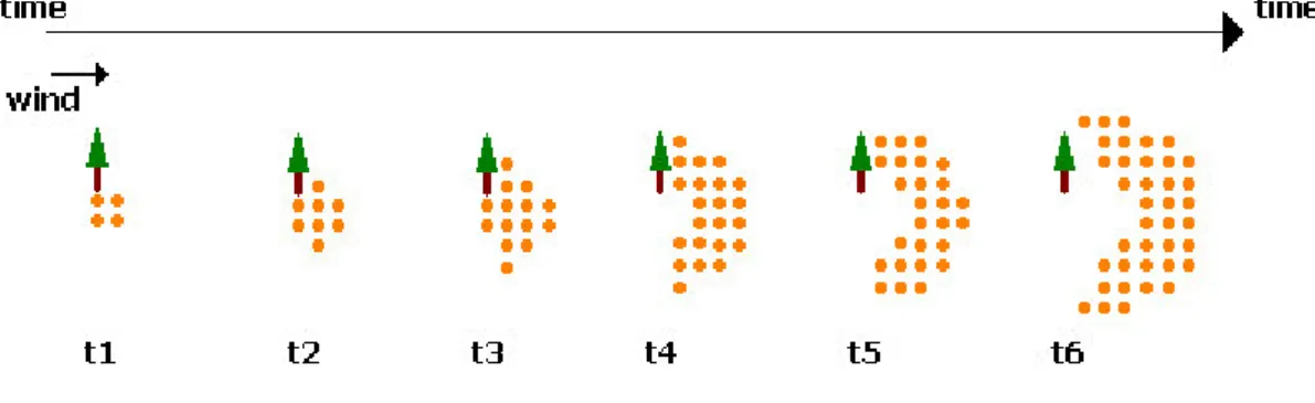 Figure 5.6 - The effect of strong wind on the evolution of the fire-front.  Notice the widening of the fire-front during  the fast progression of fire in the wind direction