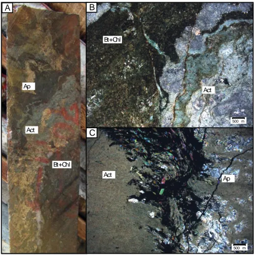 Fig  8.  Representative  samples  of  amphibole-biotite  alteration.  A)  Core  sample  showing  the  association  of  the  amphibole-biotite  alteration  and  the  biotite-chlorite  alteration