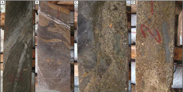Fig.  10.  Mineralization  styles  of  the  Jaguar  deposit:  A)  Discontinuous  lenses  of  disseminated  sulfide ore (Type I) in biotite- and chlorite-rich alteration rocks