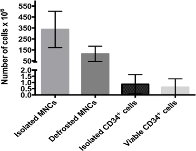 Figure    6    –    Efficiency    of    CD34 +     cells    isolation.    The    first    column    represents    the    average    amount    of    MNCs    isolated   from   UCB   (n=10);   the   second   one,   the   average   number   of   viable   MNCs 