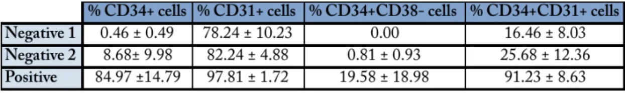 Table    II    –    FACS    analysis    of    CD34,    CD31    and    CD38    expression