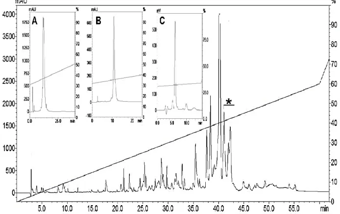 Figura  9  Perfil  cromatográfico  da  peçonha  bruta  de  Tityus  fasciolatus.  Em  destaque  o  peptídeo  de  interesse  (Tf1a)
