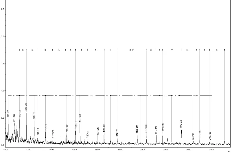 Figura 11 Sequência parcial do peptídeo obtida por meio da técnica de espectrometria  de massa (MS) pelo método de In Source Decay (ISD)