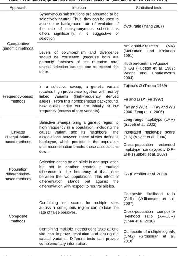 Table 1 - Common approaches used to detect selection (adapted from Vitti et al. 2013)
