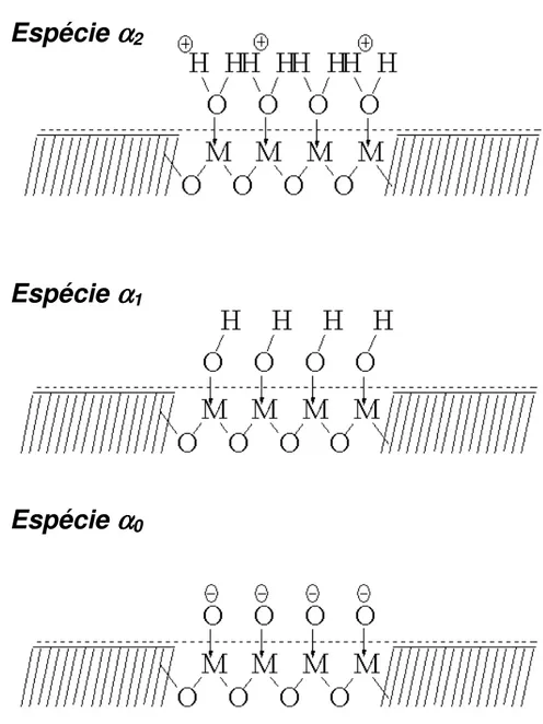 Figura  3.10  –  Representação  da  superfície  das  nanopartículas  de  EDL-MF  em  relação às espécies  α 2 ,  α 1  e  α 0 
