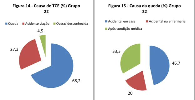 Figura 14 - Causa de TCE (%) Grupo  22
