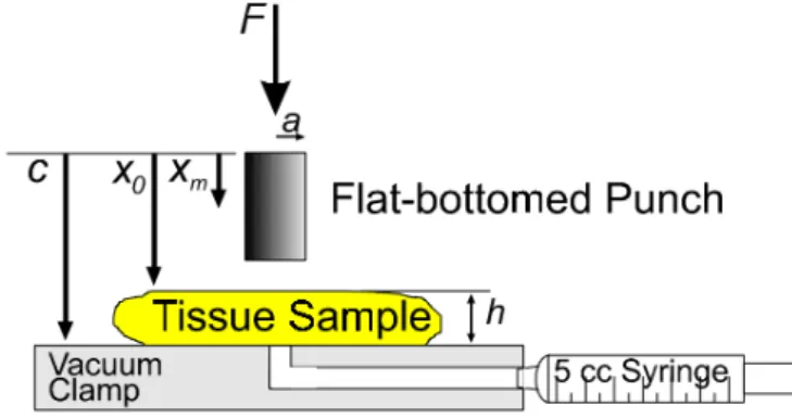 Figure 2.6: Experimental set-up used by Wellman et al. [21]