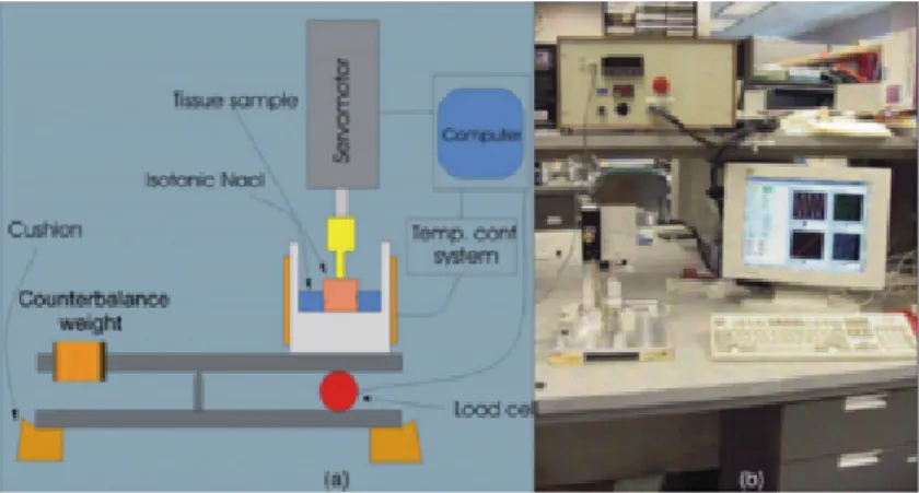 Figure 2.7: Experimental set-up used for block shape samples [7]