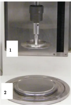 Figure 4.6. Photo of the cone and plate geometry. 1 – Cone; 2 – Plate. 