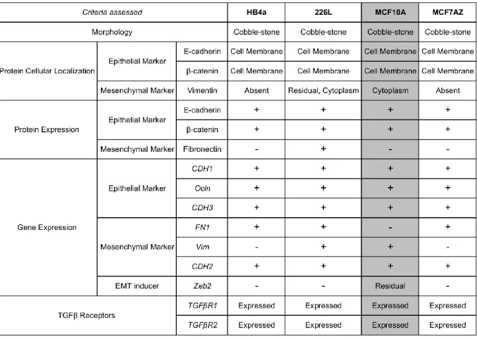 Table 1 – Summary of the characterization performed on the four selected cell lines.
