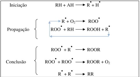 Figura 3.4 – Mecanismo de Reação de Autoxidação lipídica de ácidos graxos insaturados