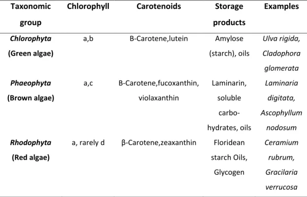 Table 1 - Macroalgae division, biochemical characteristics and examples (Suganya et al