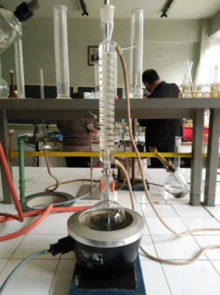 Figure 4 - Hydrolization equipment with an ascending cooler and an heating mantle. 