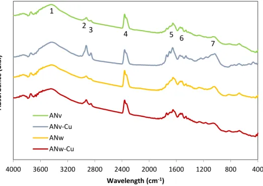 Figure 10 - FTIR spectra of ANv and ANw before and after copper biosorption. 