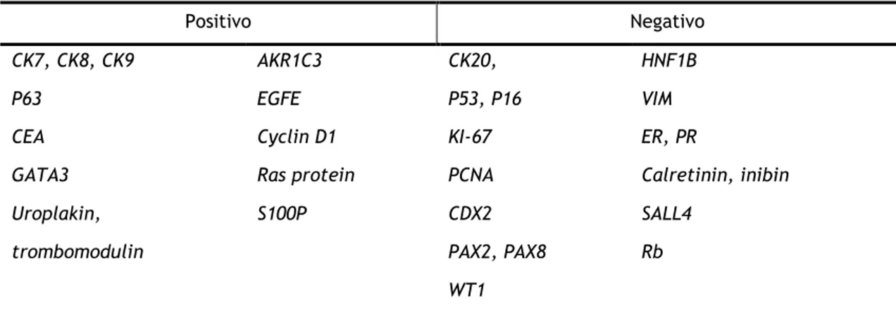 Tabela 2 – Resumo do padrão imunohistoquímico dos tumores de Brenner