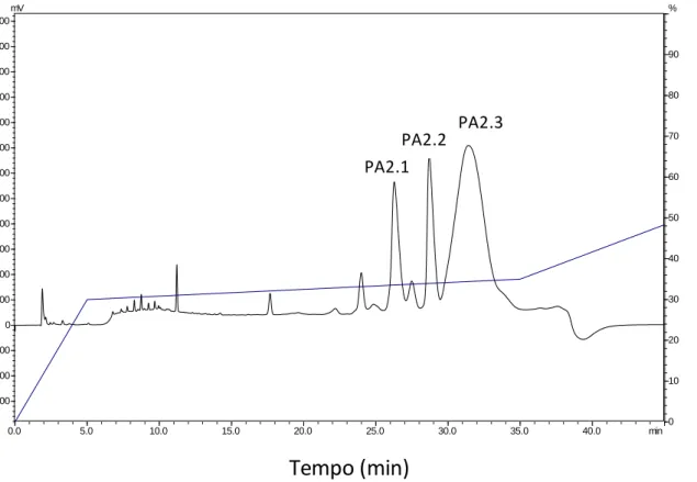Figura  7.  Recromatografia  da  fração  PA2. Realizada  em  RP-HPLC  em  coluna  analítica  C 8   de  fase  reversa  (Shim-pack  CLC-C8  M)  150x4,5  mm,  em  que  3  picos  eluiram  (PA2.1,  PA2.2  e  PA2.3)