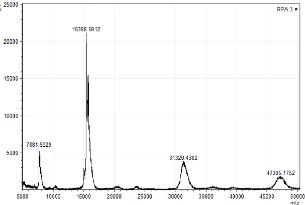 Figura 8.  Espectrograma  de  massa da  fração  PA2.3. Os espectros  foram  obtidos  plaqueando- plaqueando-se a  amostra  com ácido  sinapínico  20  µg/µl  e  analisados  em MALDI  TOF/TOF,  em modo  linear  na  faixa de  5000  a 50000  Da