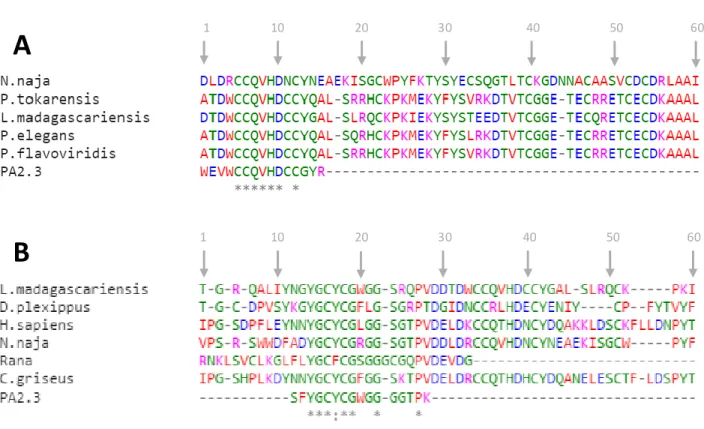 Figura  11.  Comparação  da  sequência  das  PLA2s  com  as  proteínas  isoladas  da  secreção  cutânea  de  P