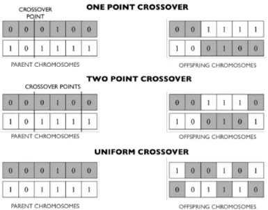 Figure 2.2: Example of crossover strategies reproduced from [21]