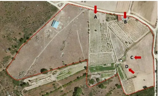 Figura 27 - Imagem aérea do terreno      