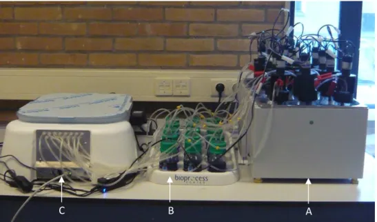 Figure 15. Instrument setup for the SMA assay. A - Sample incubation unit; B - CO 2 -fixing unit; C - Gas volume  measuring device