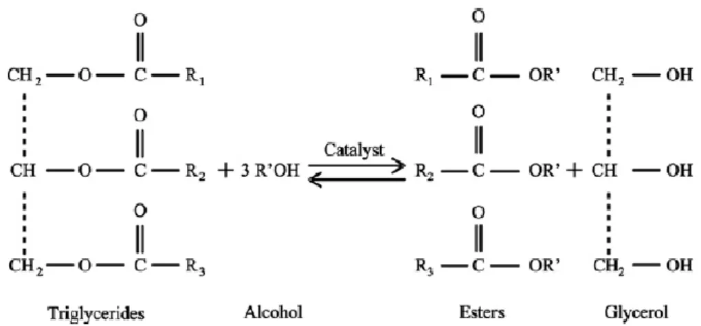 Figure 1. Transesterification reaction of triglycerides. Source: Dias et al. 2008. 