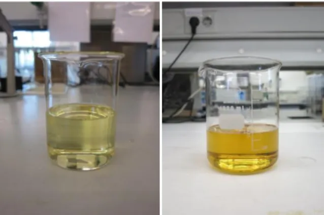 Figure  13  shows  the  visual  appearance  of  SO  and  WFO  before  the  transesterification reaction