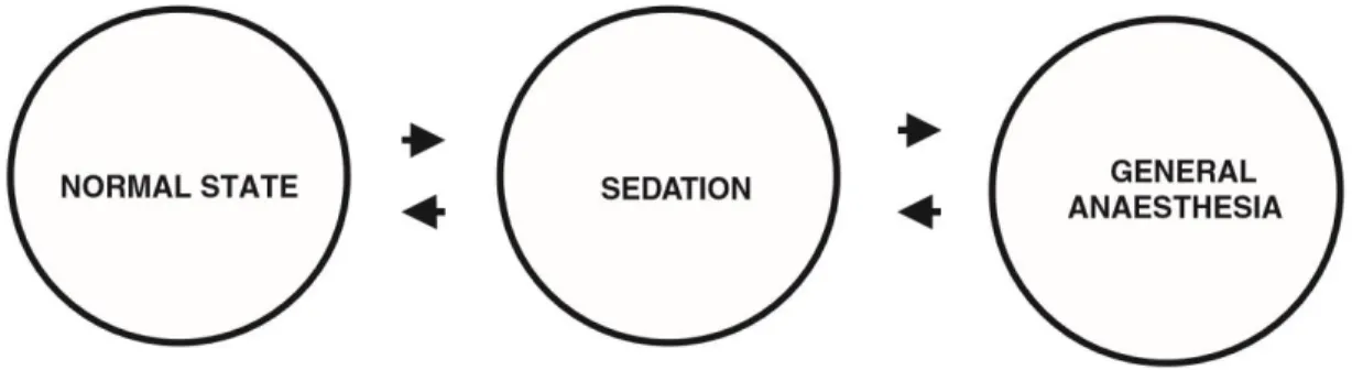 Fig. 3 – The sedation-anaesthesia continuum. Image from (Ross et al., 2000). 