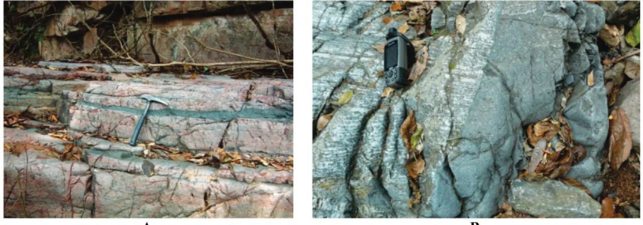 Figure 3 – A: Banded granite gneiss displaying alternate felsic and mafic layers. B: Metamafic intrusive  rock cross-cutting banding/foliation of the gneiss