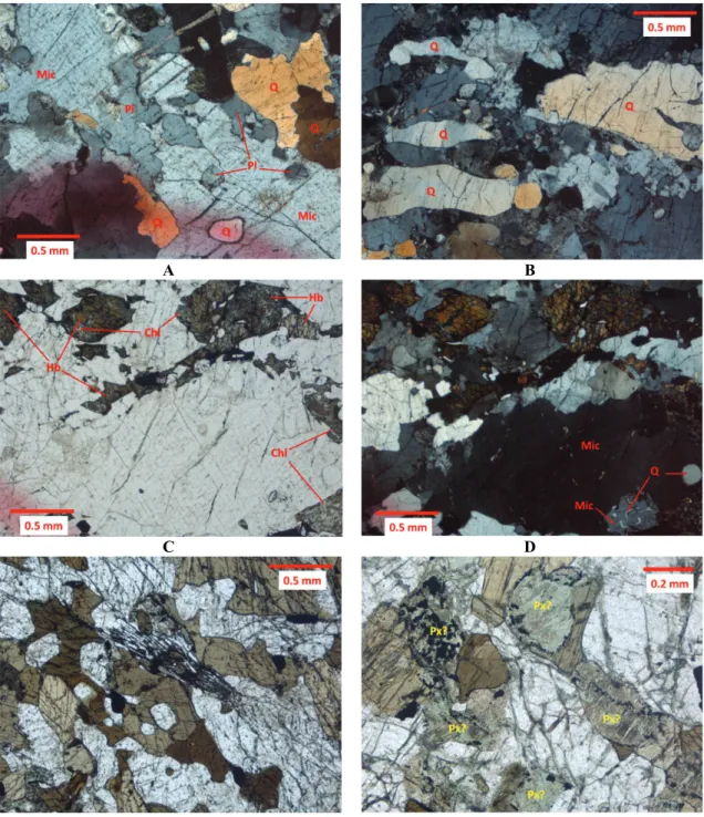 Figure  5  –  Photomicrographs of studied rocks. A: (CPL) Poikiloblastic microcline engulfing smaller  rounded crystals of plagioclase and quartz