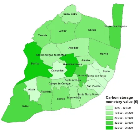 Figure 7. Carbon storage monetary value for each of the tree species in the city of Lisbon